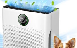 Top Air Purifiers for Large Rooms: MOOKA & LEVOIT