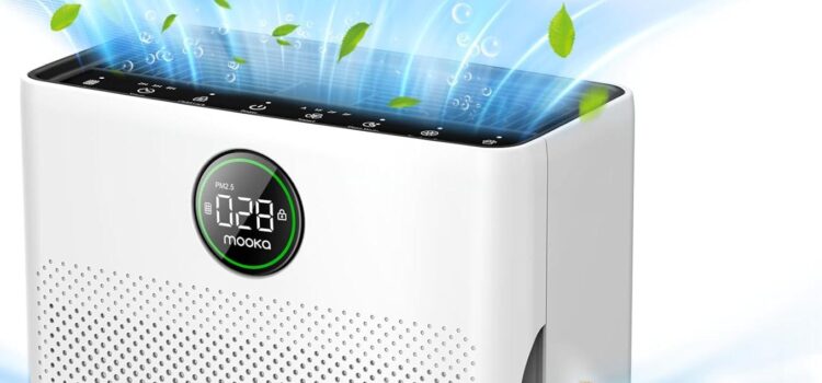 Top Air Purifiers for Large Rooms: MOOKA & LEVOIT