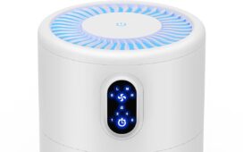Top Air Purifiers for Large Rooms and Pet Owners
