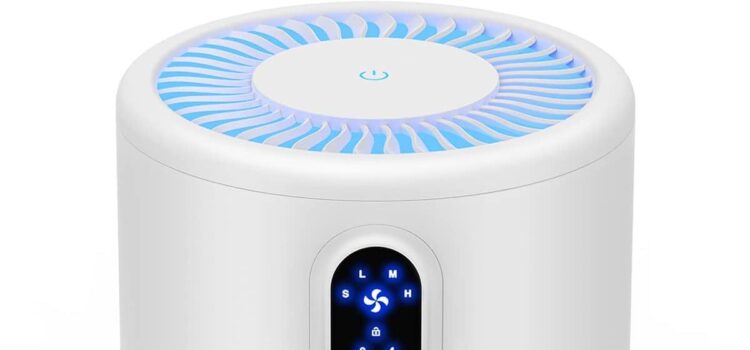 Top Air Purifiers for Large Rooms and Pet Owners