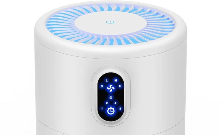 Top Air Purifiers for Large Rooms and Pet Owners
