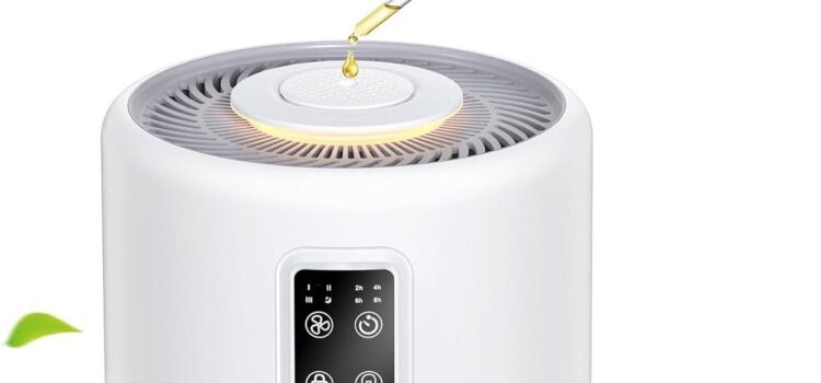 Top Air Purifiers for Large Rooms: A Comprehensive Review