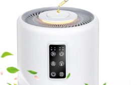 Top Air Purifiers for Large Rooms and Allergies