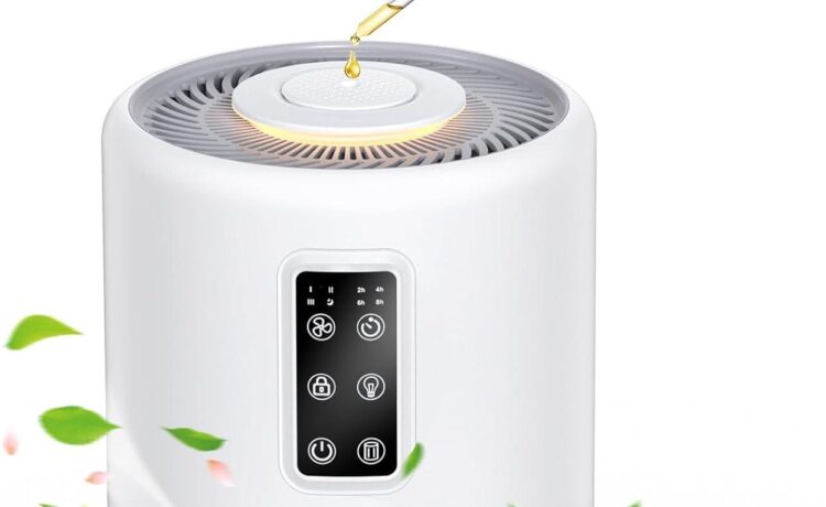 Top Air Purifiers for Large Rooms and Allergies