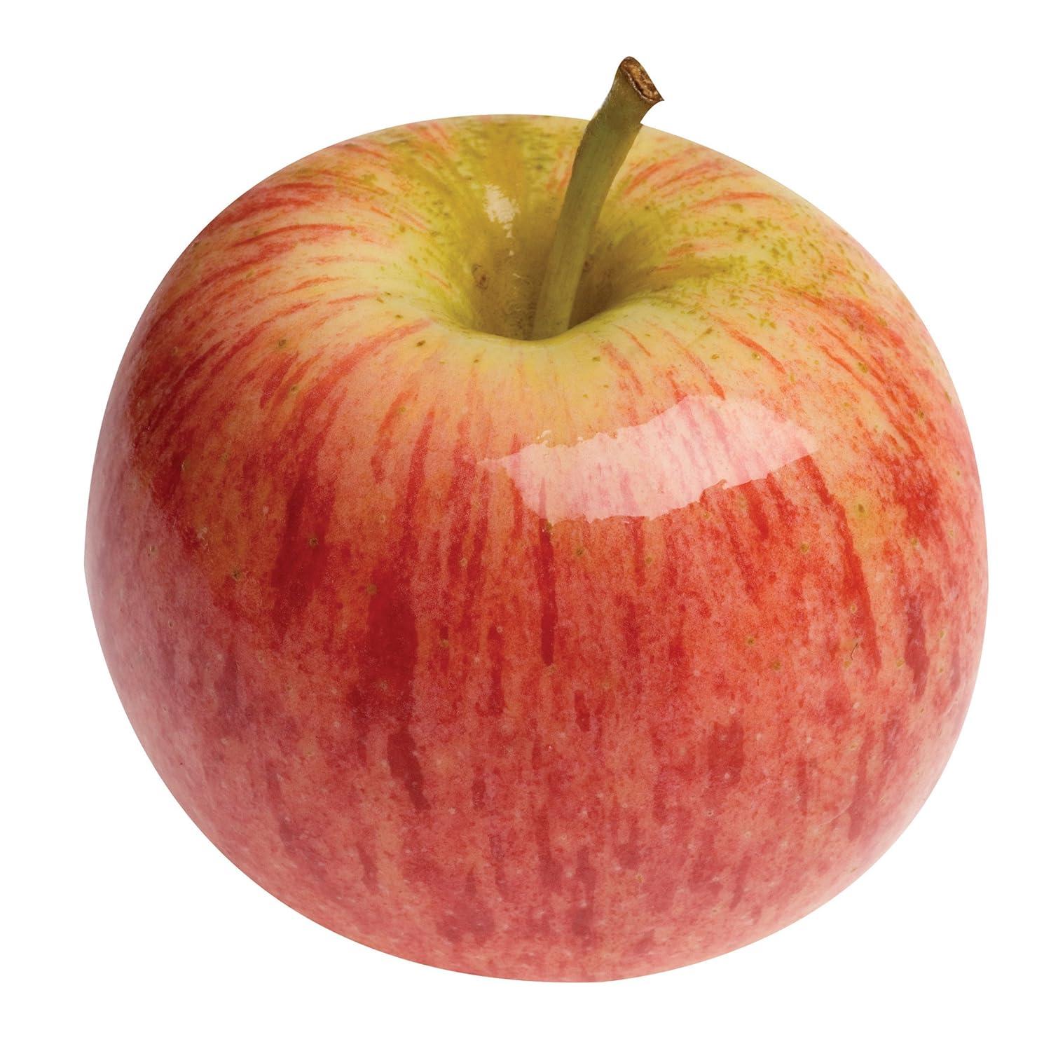 Top Picks: Apple AirPods & Fresh Gala Apples Roundup