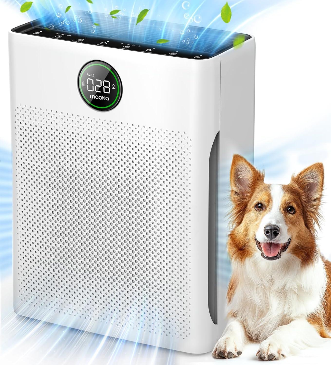 Top Air Purifiers for Large rooms: MOOKA & ‍LEVOIT